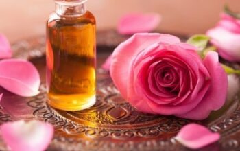 Bulk Rose Essential Oil