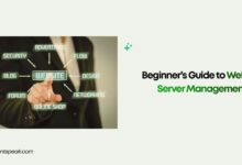 Beginner’s Guide to Website Server Management