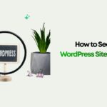How to Secure Your WordPress Site from Hackers