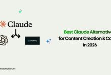 Best Claude Alternatives for Content Creation & Coding in 2026