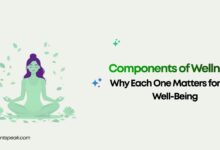 Components of Wellness Why Each One Matters for Your Well-Being