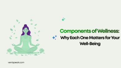 Components of Wellness Why Each One Matters for Your Well-Being