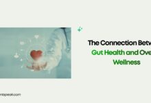 The Connection Between Gut Health and Overall Wellness