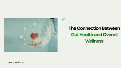 The Connection Between Gut Health and Overall Wellness