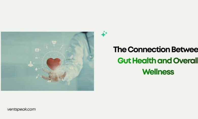 The Connection Between Gut Health and Overall Wellness