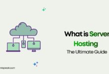 What is Server Hosting The Ultimate Guide