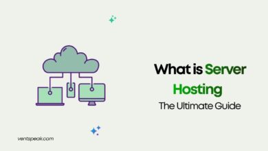 What is Server Hosting The Ultimate Guide