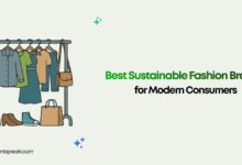 Best Sustainable Fashion Brands for Modern Consumers
