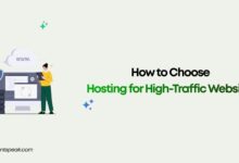 How to Choose Hosting for High-Traffic Websites