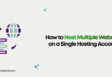 How to Host Multiple Websites on a Single Hosting Account