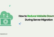 How to Reduce Website Downtime During Server Migration