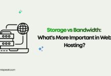 Storage vs Bandwidth Web Hosting