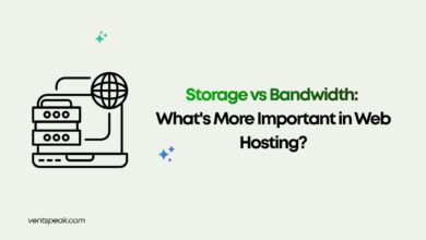 Storage vs Bandwidth Web Hosting