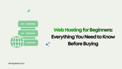 Web Hosting for Beginners Everything You Need to Know Before Buying