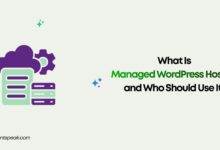 What Is Managed WordPress Hosting and Who Should Use It