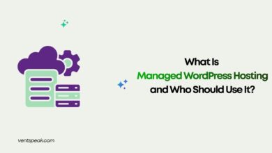 What Is Managed WordPress Hosting and Who Should Use It