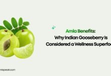 Amla Benefits Why Indian Gooseberry Is Considered a Wellness Superfood