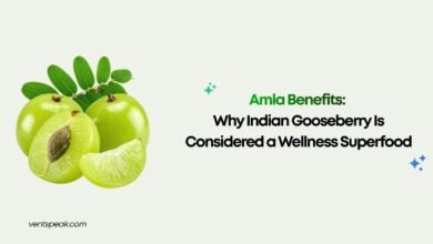 Amla Benefits Why Indian Gooseberry Is Considered a Wellness Superfood