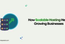 How Scalable Hosting Helps Growing Businesses