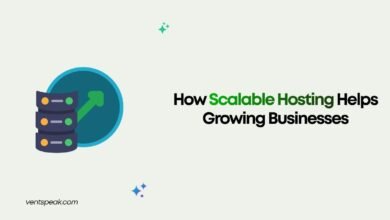 How Scalable Hosting Helps Growing Businesses