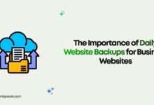The Importance of Daily Website Backups for Business Websites