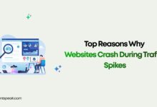 Top Reasons Why Websites Crash During Traffic Spikes