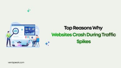 Top Reasons Why Websites Crash During Traffic Spikes