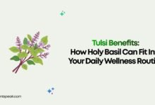 Tulsi Benefits How Holy Basil Can Fit Into Your Daily Wellness Routine