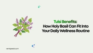 Tulsi Benefits How Holy Basil Can Fit Into Your Daily Wellness Routine