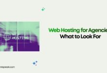 Web Hosting for Agencies What to Look For