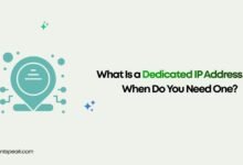 What Is a Dedicated IP Address and When Do You Need One