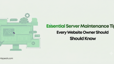 Essential Server Maintenance Tips Every Website Owner Should Know