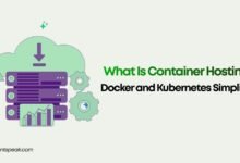 What Is Container Hosting Docker and Kubernetes Simplified